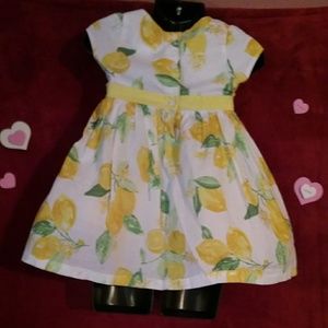 Gymboree Dresses - GYMBOREE Toddler GIRLS dress 18/24 M Gymboree Dresses - GYMBOREE Toddler GIRLS dress 18/24 M
